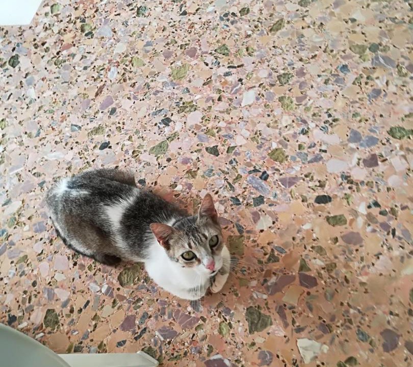 Photo of Others in Agios Nikolaos