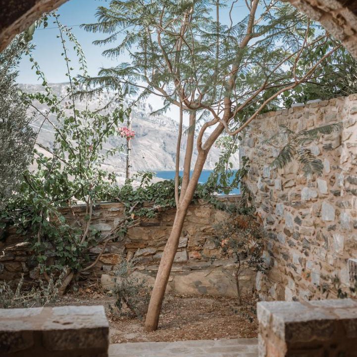 Photo of Others in Alika