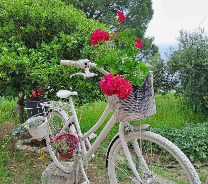 Photo of Outdoor in Kanoni