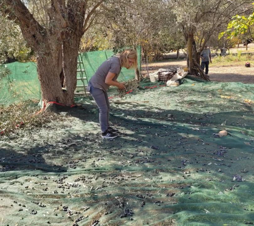 Photo of Others in Limnos