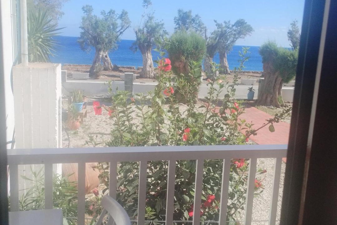 Photo of Others in Sougia