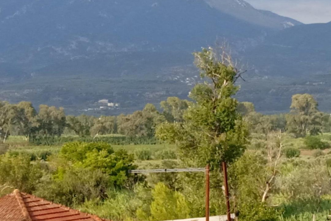 Photo of Others in Piperitsa