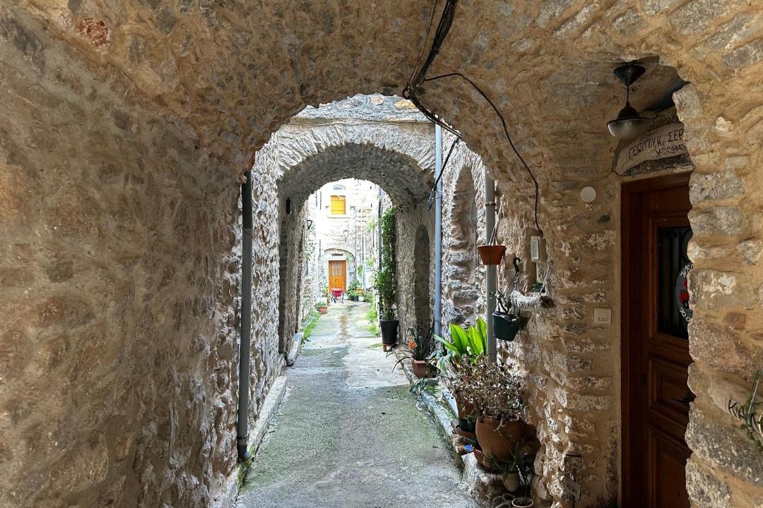 Photo of Others in Mesta