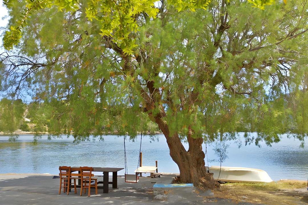 Photo of Others in Monemvasia