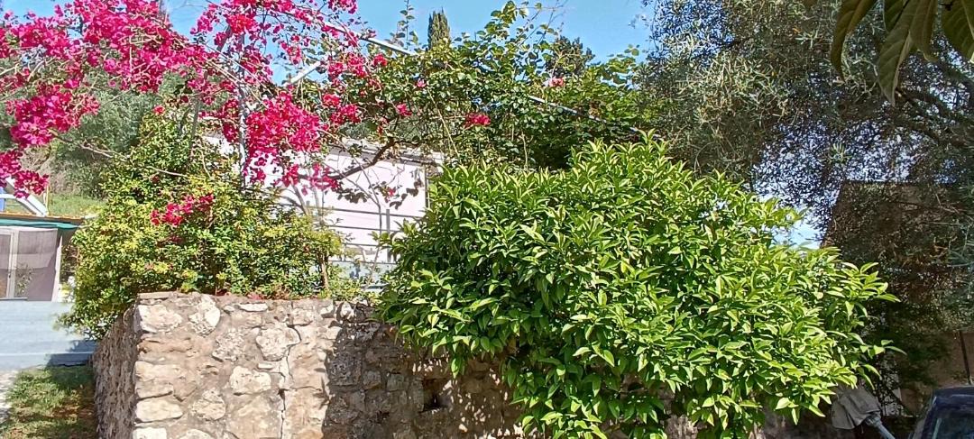 Photo of Others in Parga