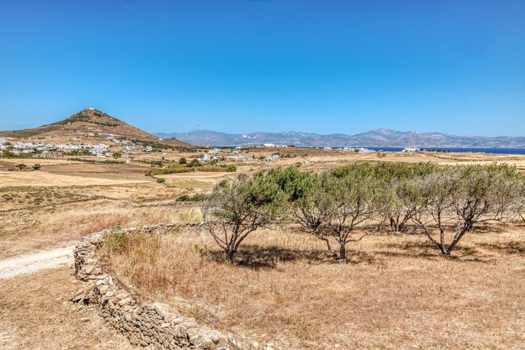 Photo of Others in Paros