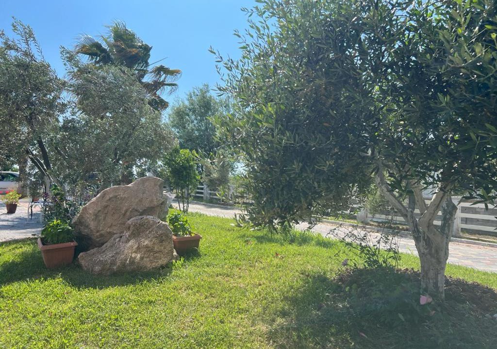 Photo of Others in Ishem