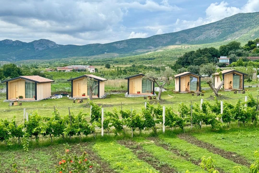 Photo of Others in Sakës