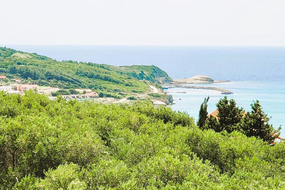 Photo of Others in Agios Stefanos Avliotes