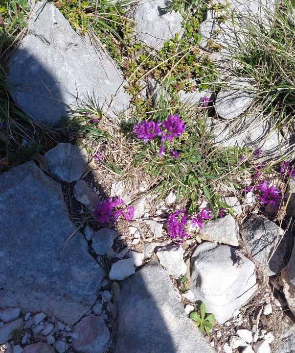 Photo of Others in Llogara National Park