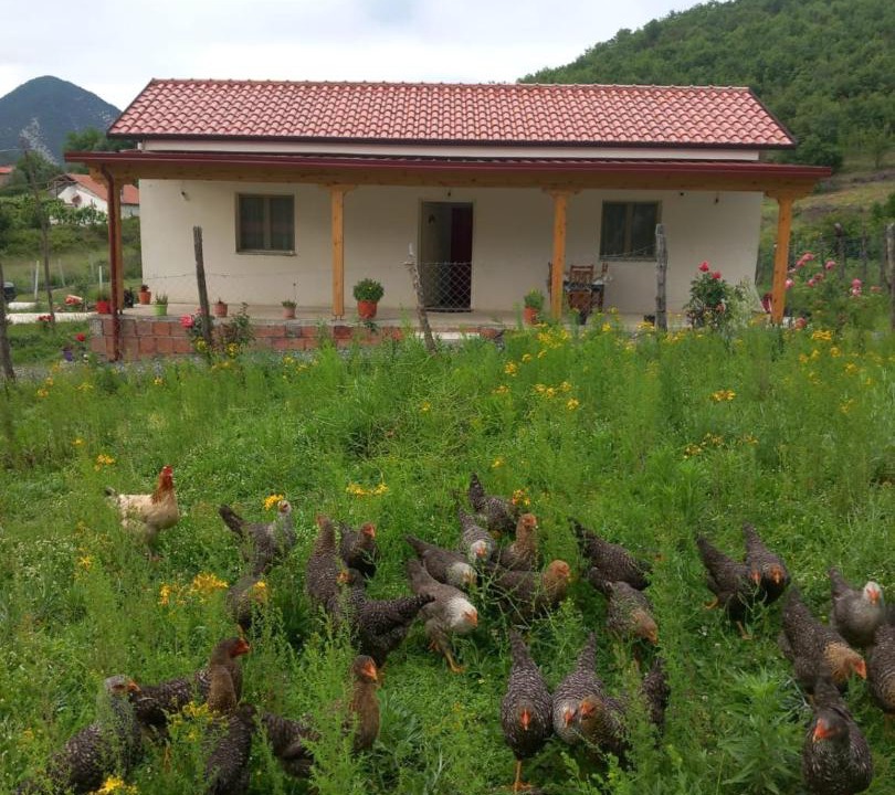 Photo of Others in Sakës