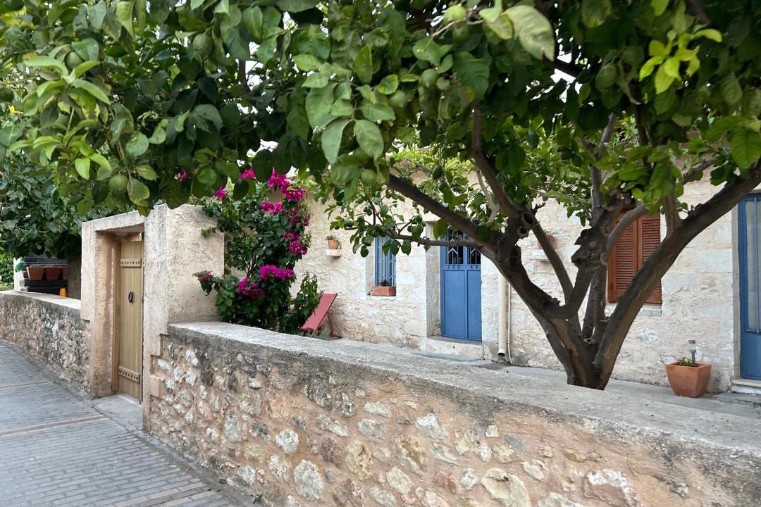 Photo of Others in Tilisos