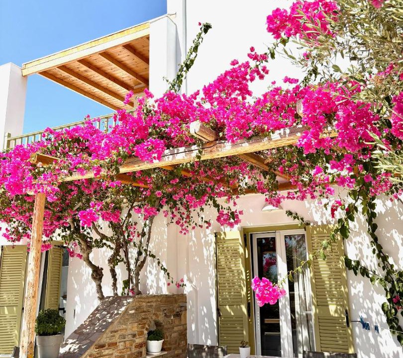 Photo of Others in Antiparos