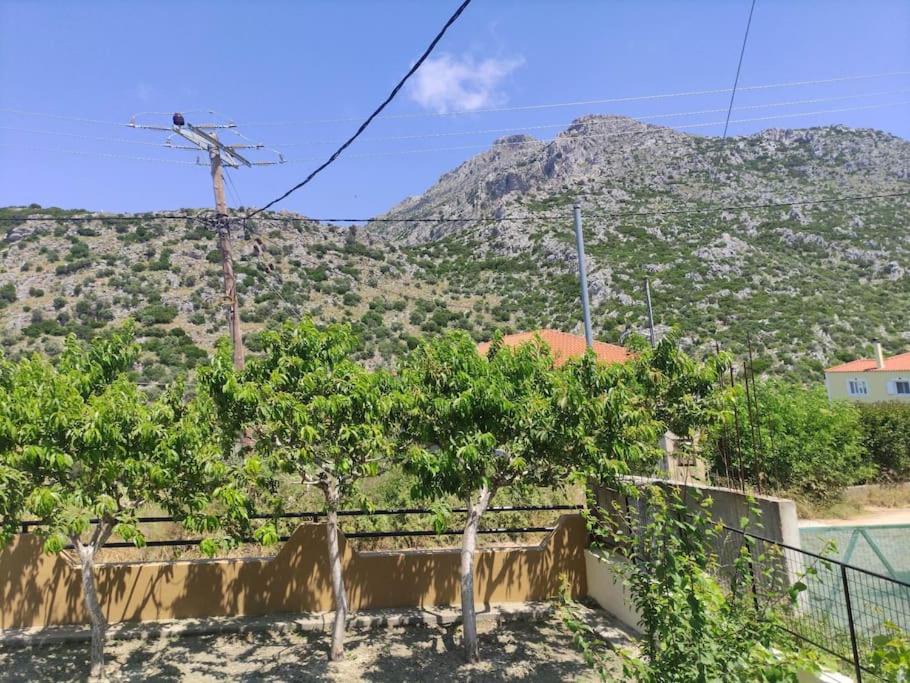 Photo of Others in Okhthonia