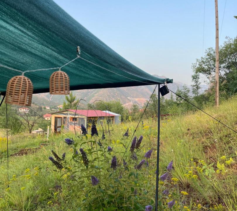 Photo of Others in Elbasan