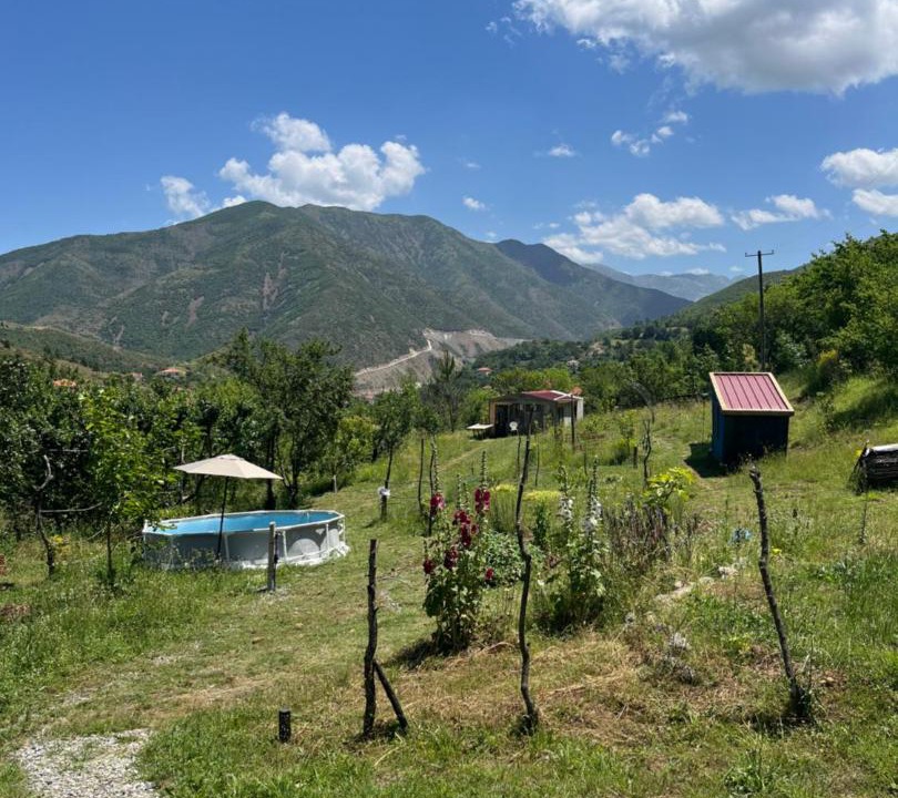 Photo of Others in Elbasan