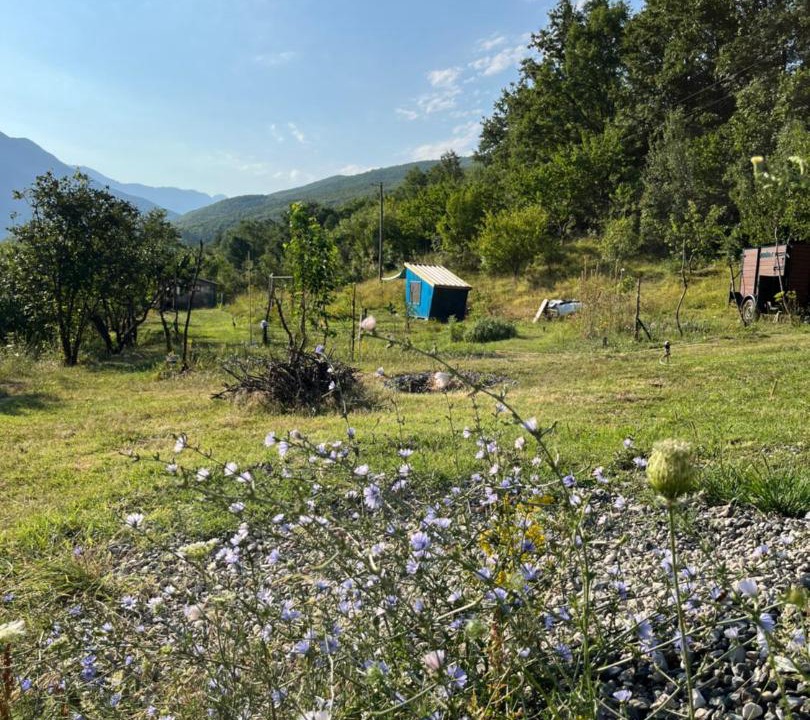 Photo of Others in Elbasan