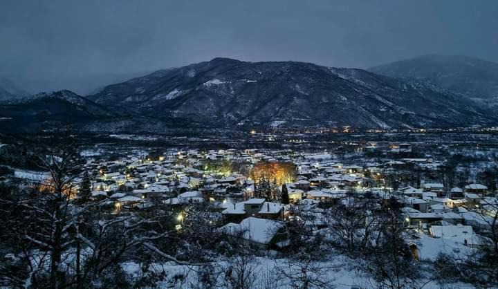 Photo of Others in Orma
