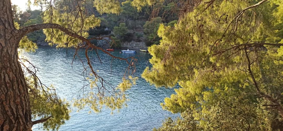 Photo of Others in Poros