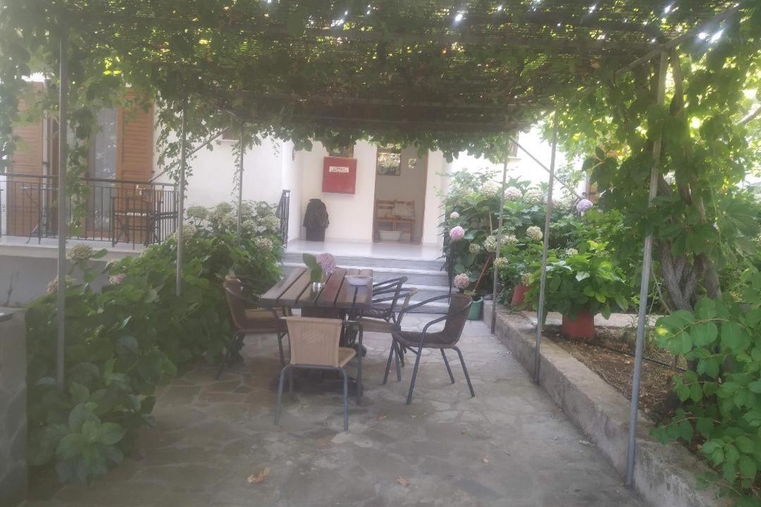 Photo of Others in Paleopoli