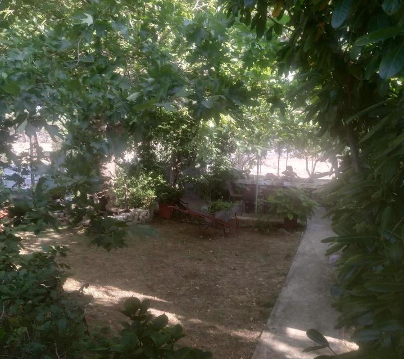 Photo of Others in Paleopoli