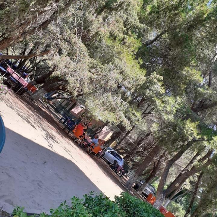 Photo of Others in Divjake