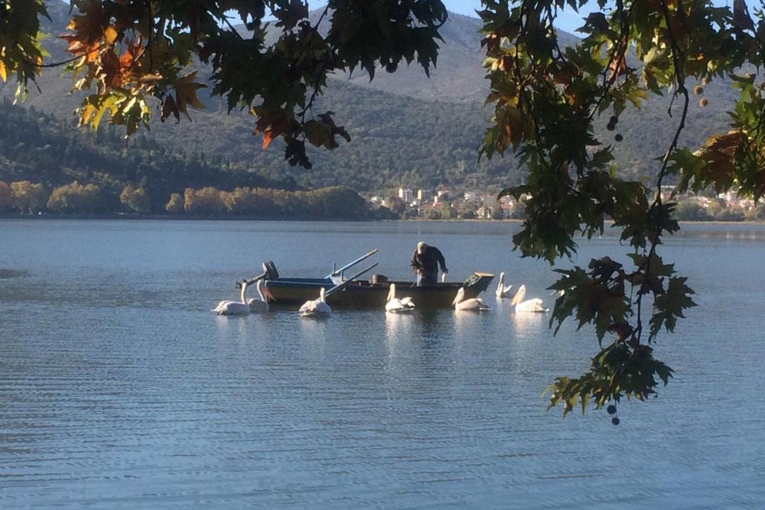 Photo of Others in Kastoria