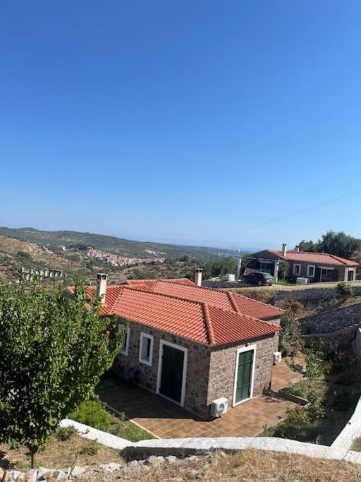 Photo of Others in Mytilene