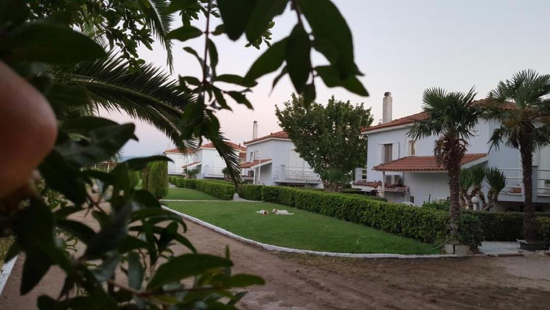 Photo of Others in Skala Kallonis