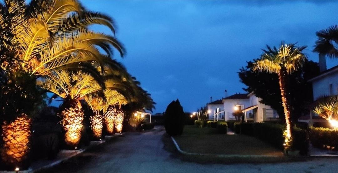 Photo of Others in Skala Kallonis