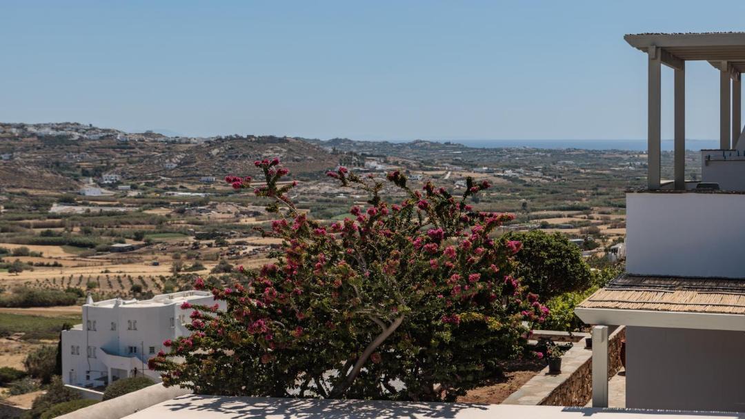 Photo of Others in Naxos