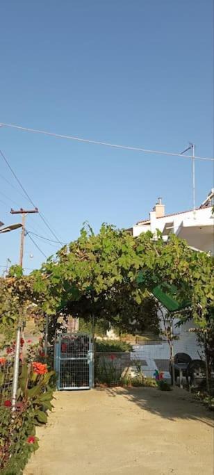 Photo of Others in Fanari