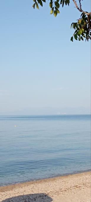 Photo of Others in Fanari