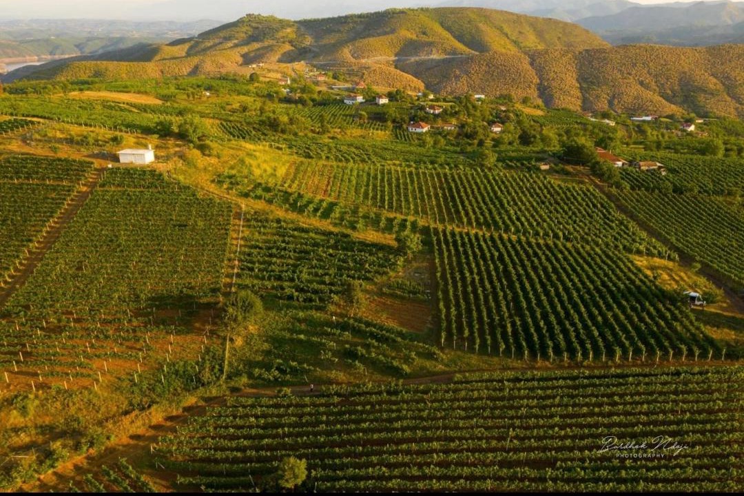 Photo of Others in Sakës