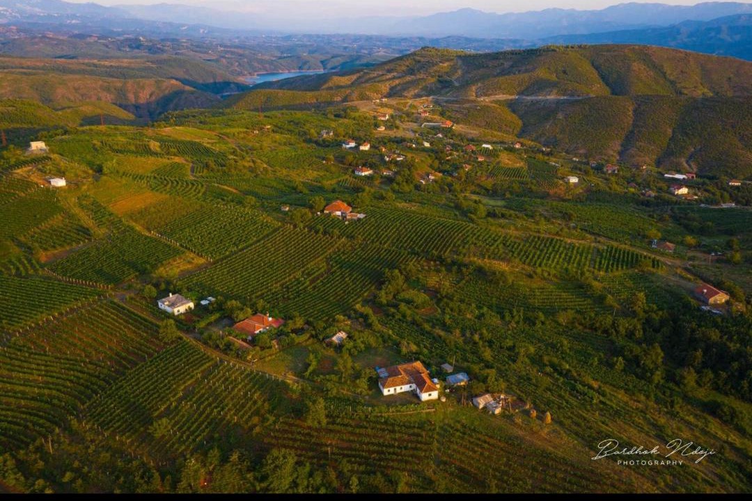 Photo of Others in Sakës