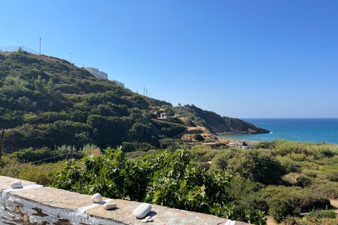Photo of Others in Evdilos