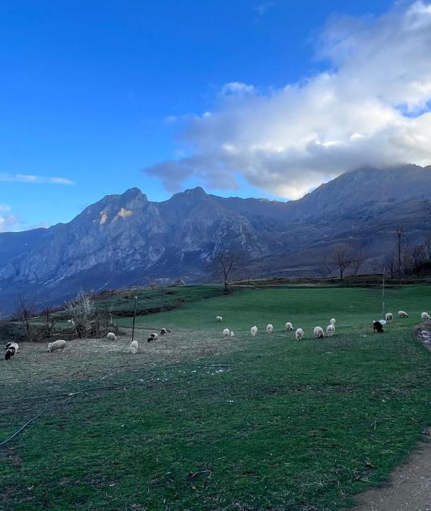 Photo of Others in Kukes County