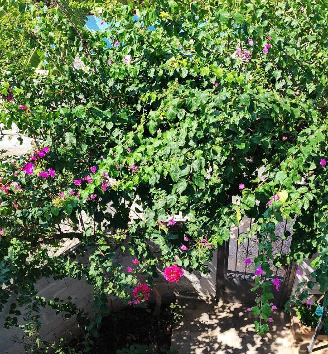 Photo of Others in Dhermi