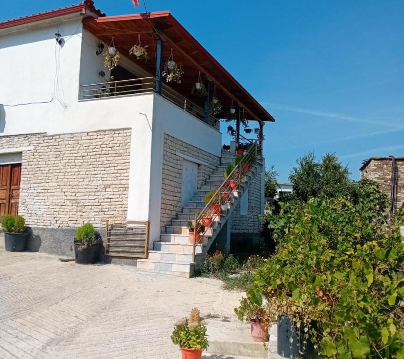 Photo of Others in Berat