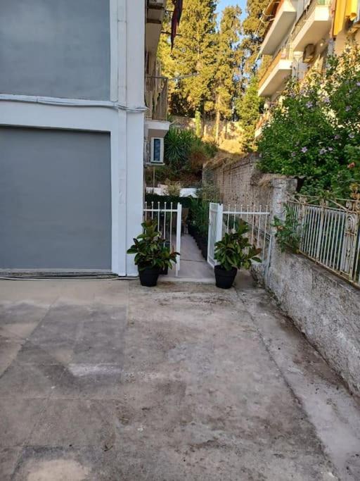 Photo of Others in Corfu Town