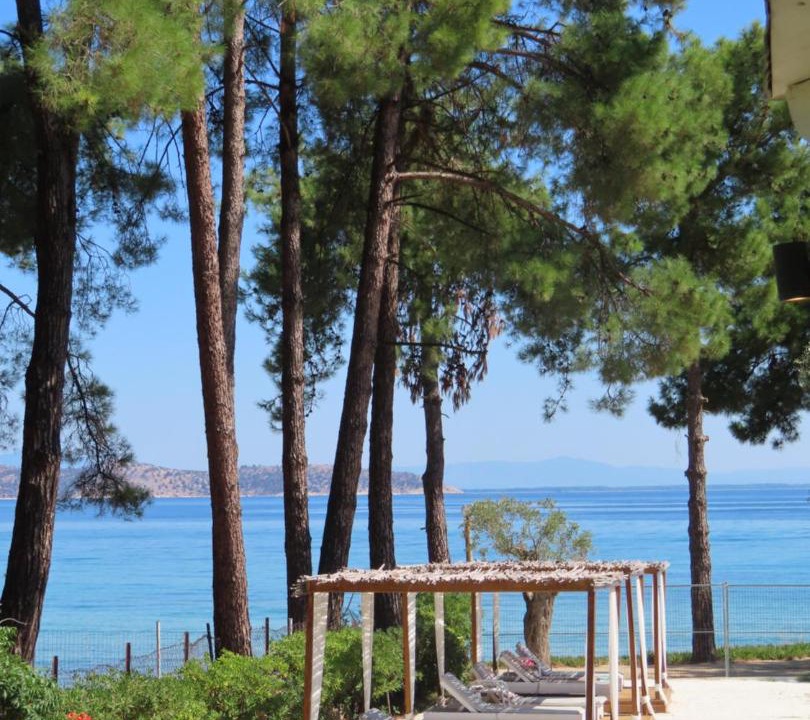 Photo of Others in Thasos Town