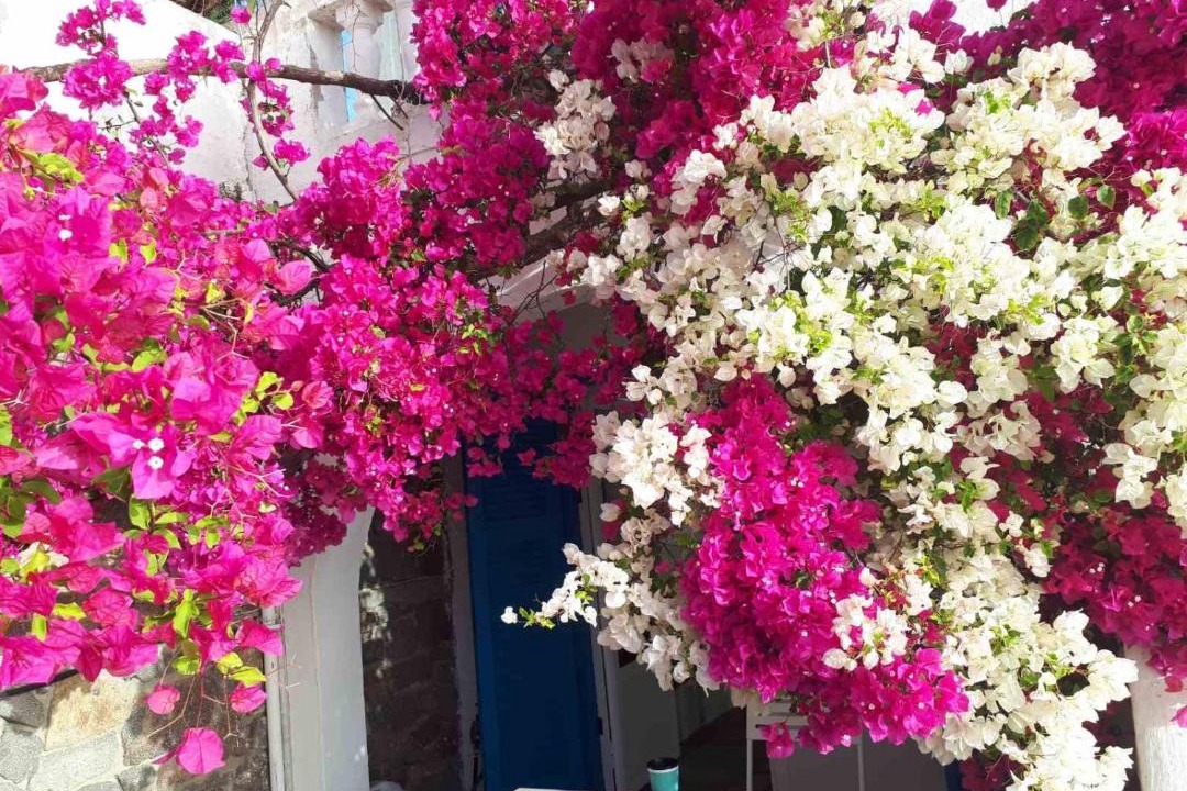 Photo of Others in Poros