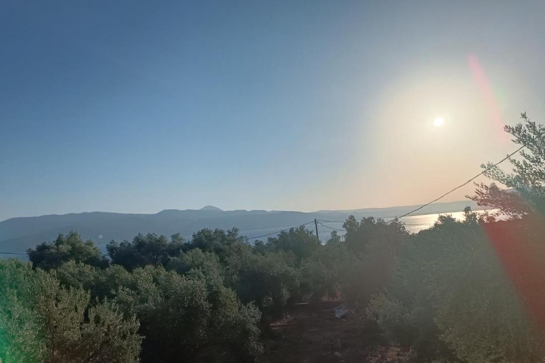 Photo of Others in Kedro