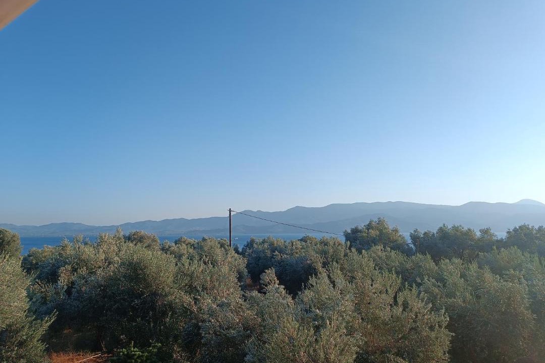 Photo of Others in Kedro