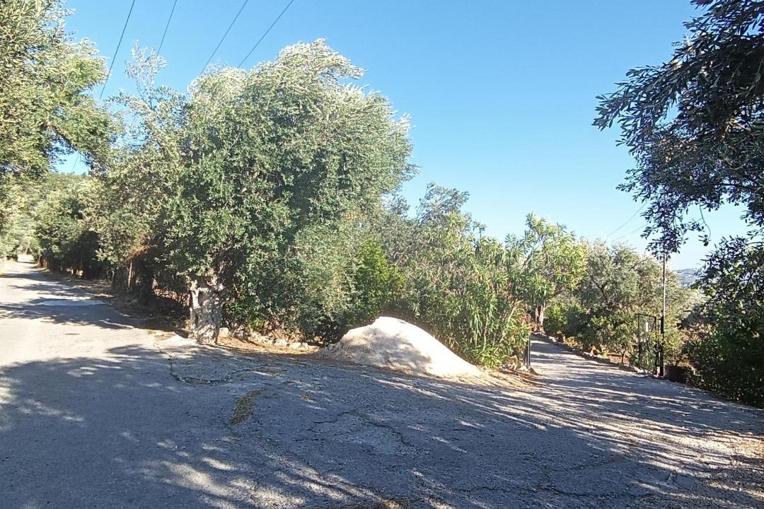 Photo of Others in Kedro