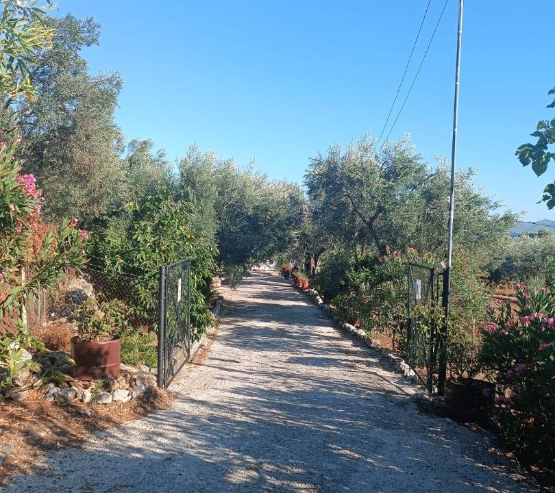 Photo of Others in Kedro