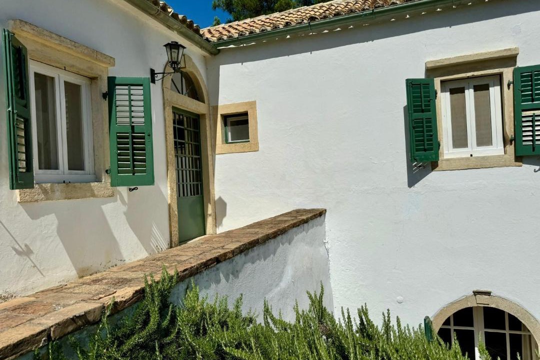 Photo of Others in Parelia