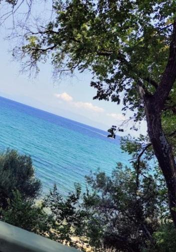 Photo of Others in Kavala
