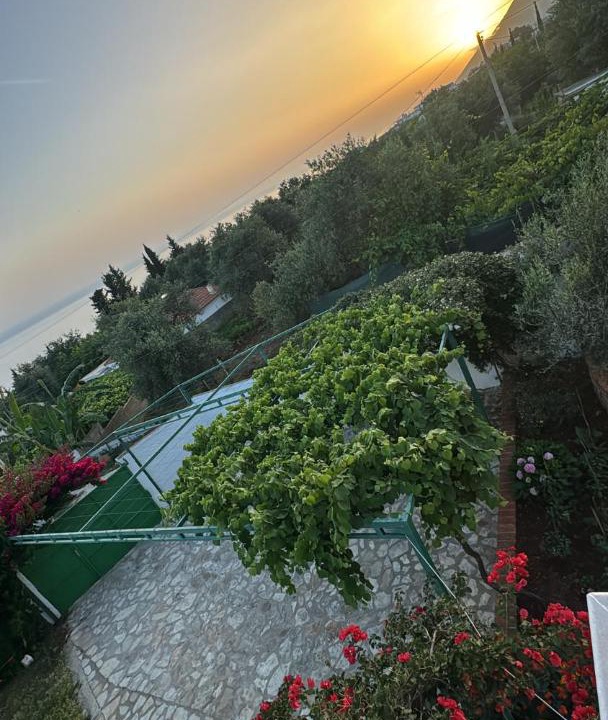 Photo of Others in Dhermi