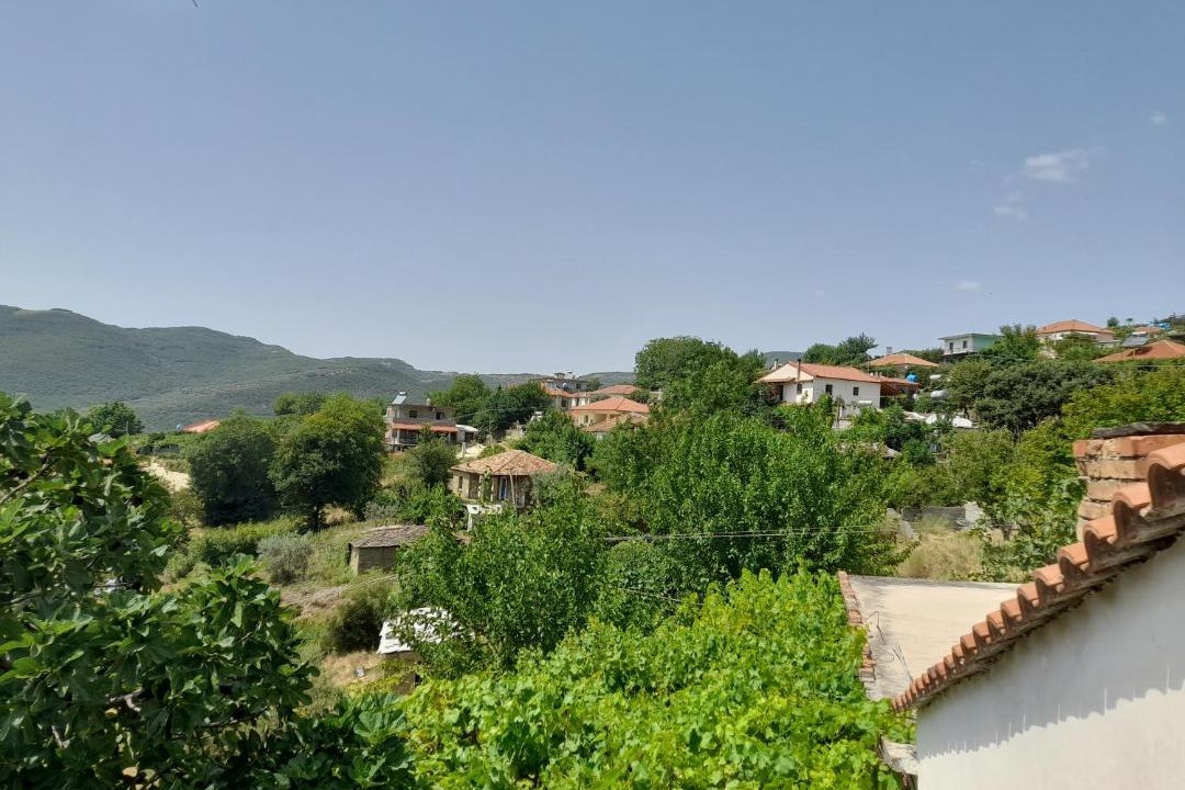 Photo of Others in Berat